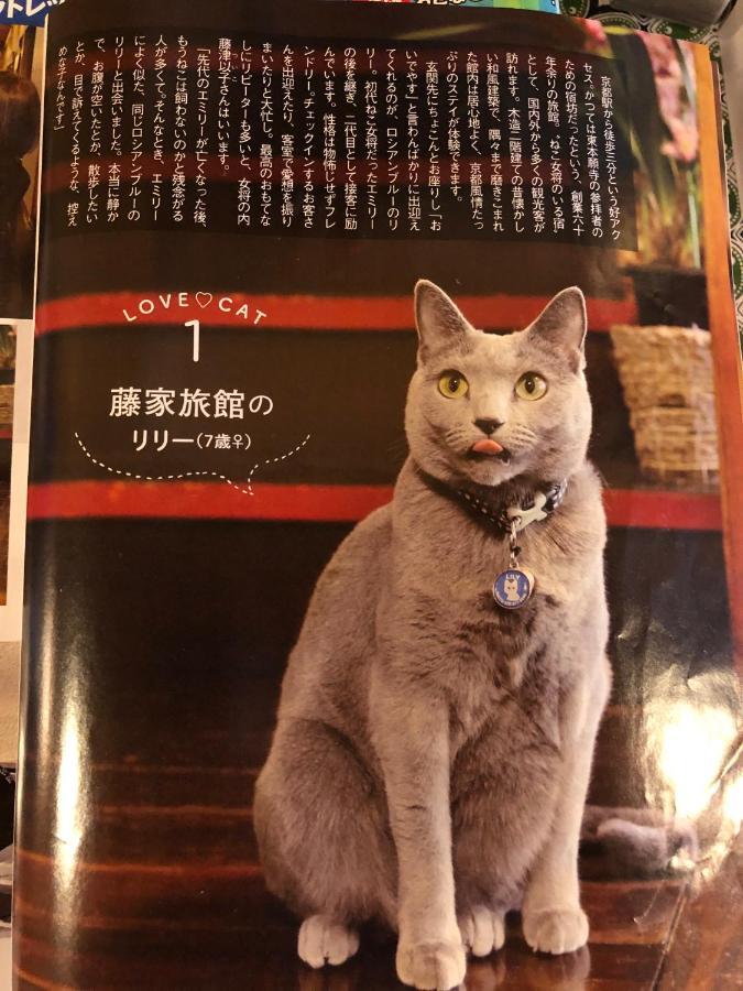 京都 藤家旅馆酒店 外观 照片